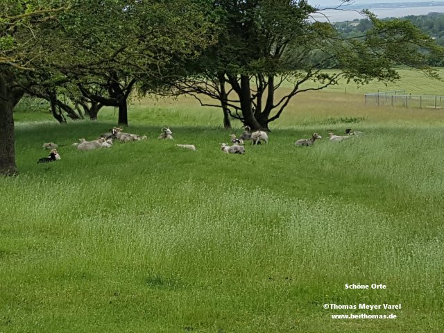 20190615_113913