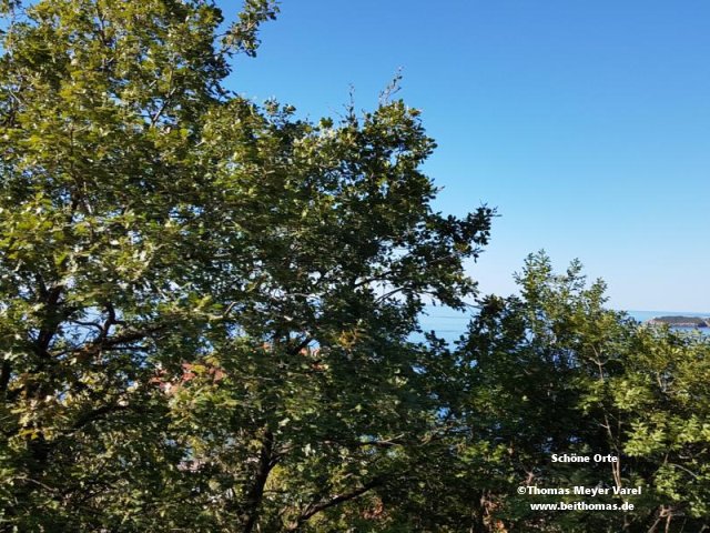 20191006_105534