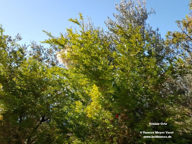 20191006_105638