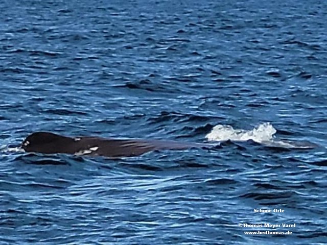 20220601_124248_resized